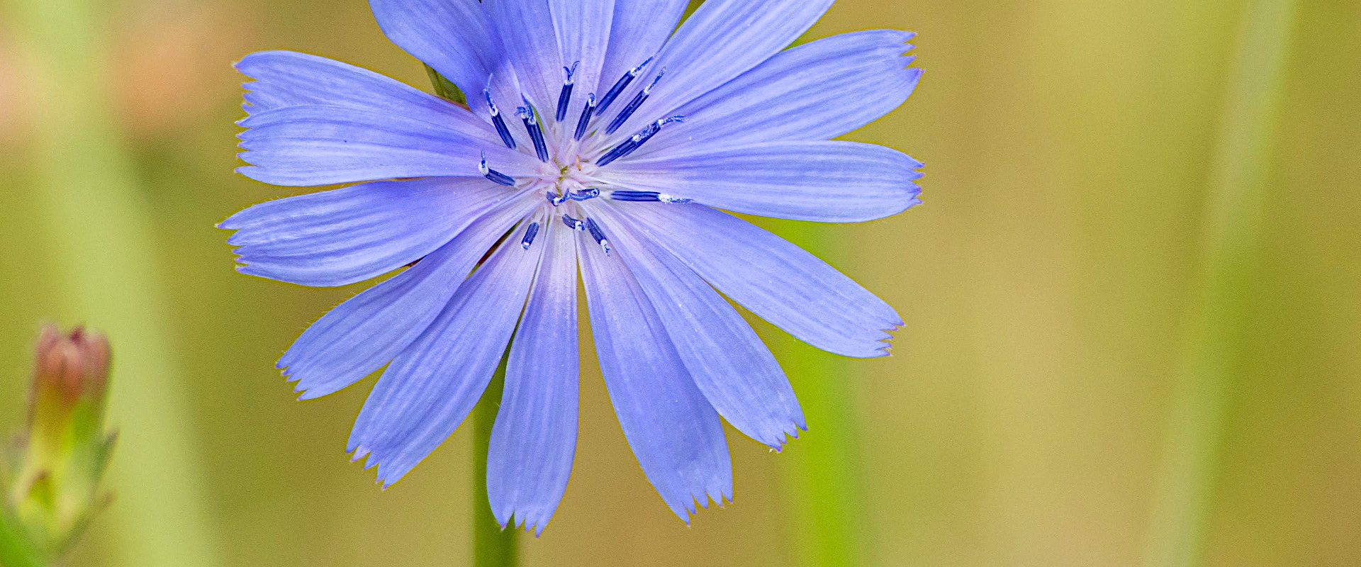 Never stop upgrading your good core